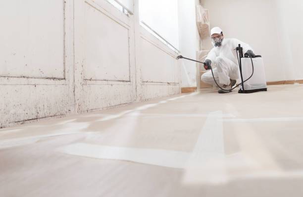 24/7 Emergency Black Mold Removal experts in Fredericksburg, VA