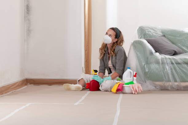 Trusted Mold Inspection service in Fredericksburg, VA - Cheap Mold Removal